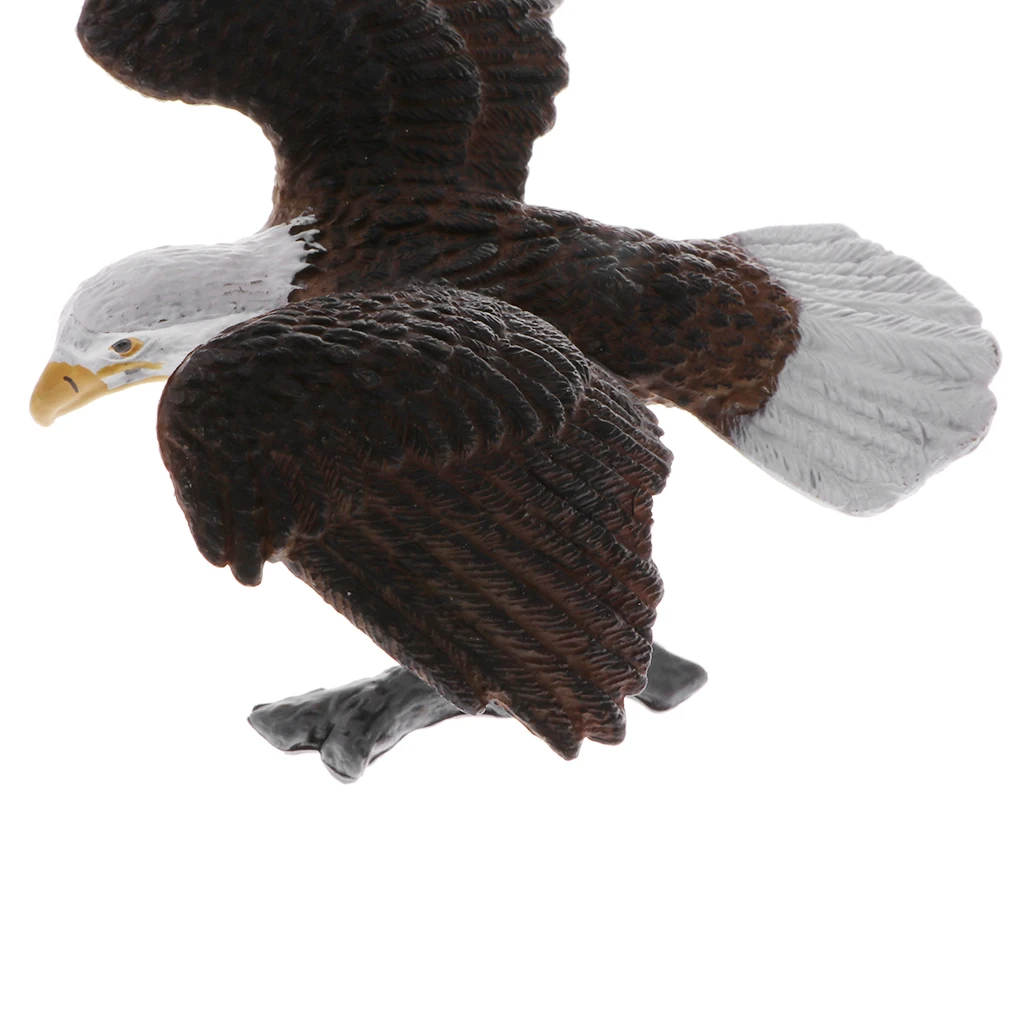 Plastic Realistic Wildlife Jungle Forest Animals Bald Eagle Action Figure Toys Kids Toddler Nature Toys Home Decor Collectibles