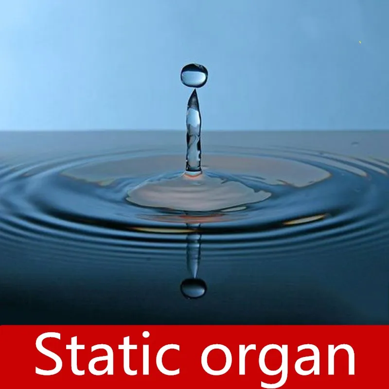 

9527 Human chamber of escape game Static organ unlock props real life games escape room props escape room game