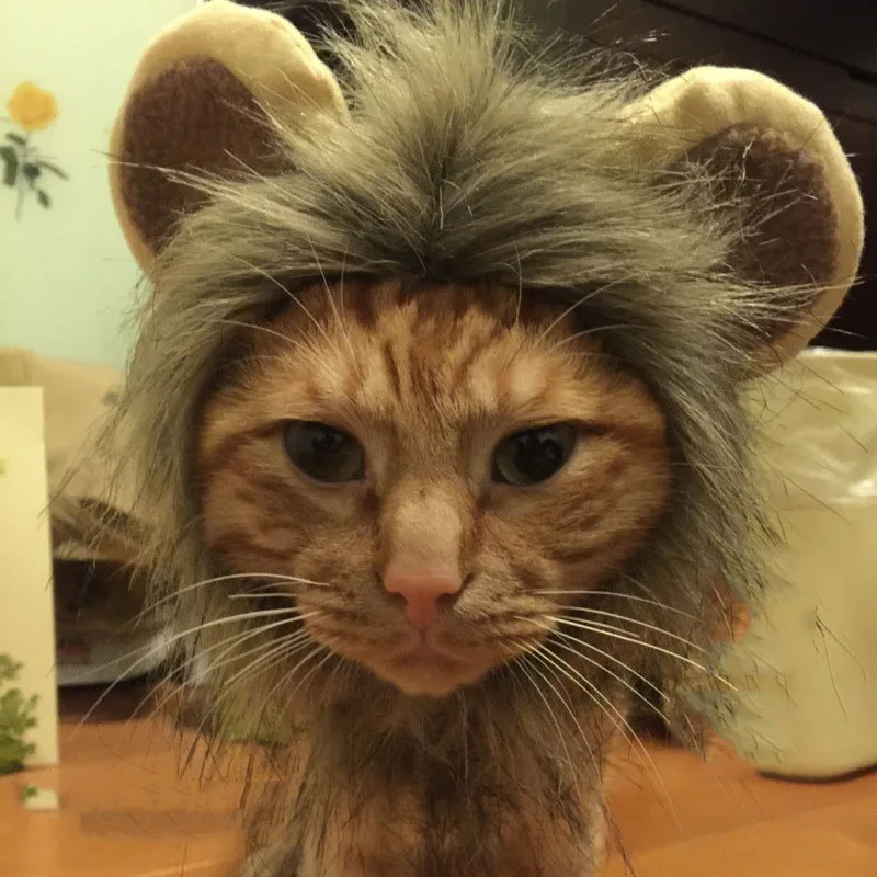 Костюм Льва для кошек, маленьких собак, Забавный парик льва с ушками, костюм кошки, аксессуары для Хэллоуина, вечерние