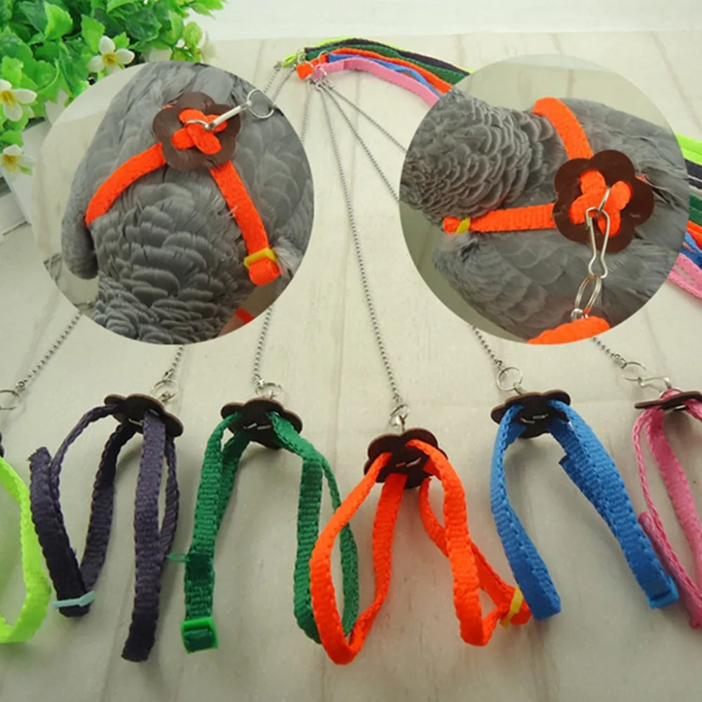 

Parrot Bird Leash Outdoor Adjustable Harness Training Rope Anti Bite Flying Band Soft comfortable Parrot Leash