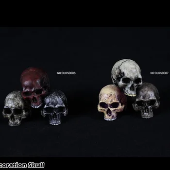 

1/6 scale Terrible Skulls Head Model Horror Scene Accessories for 12 inches figure toy