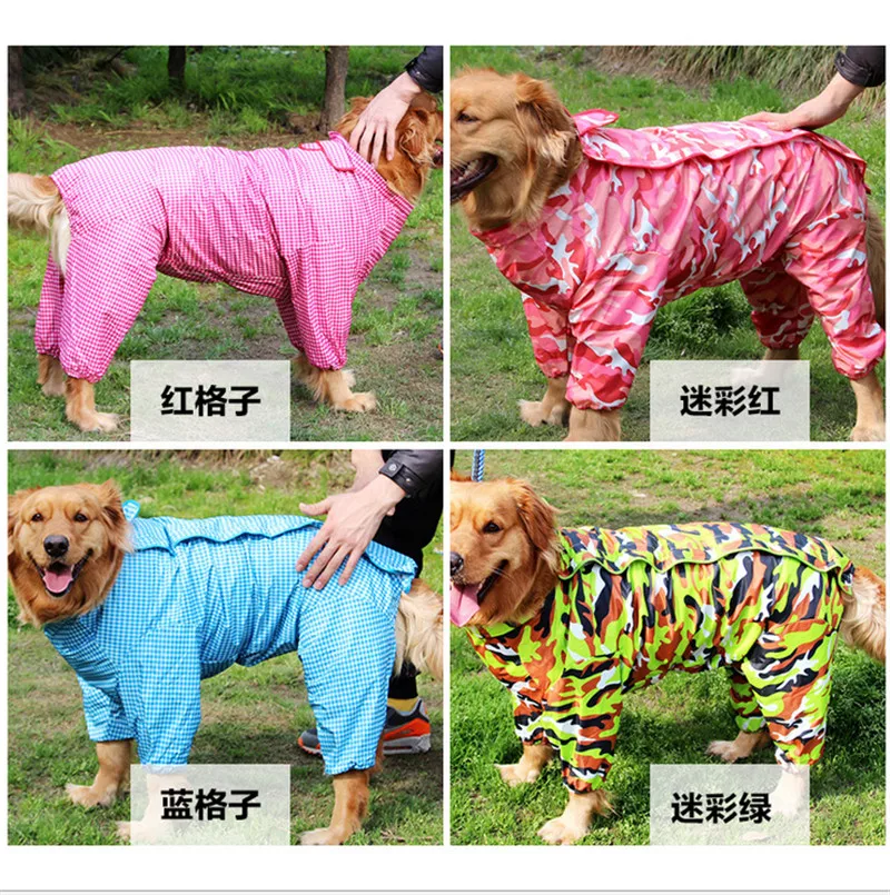 pet 01