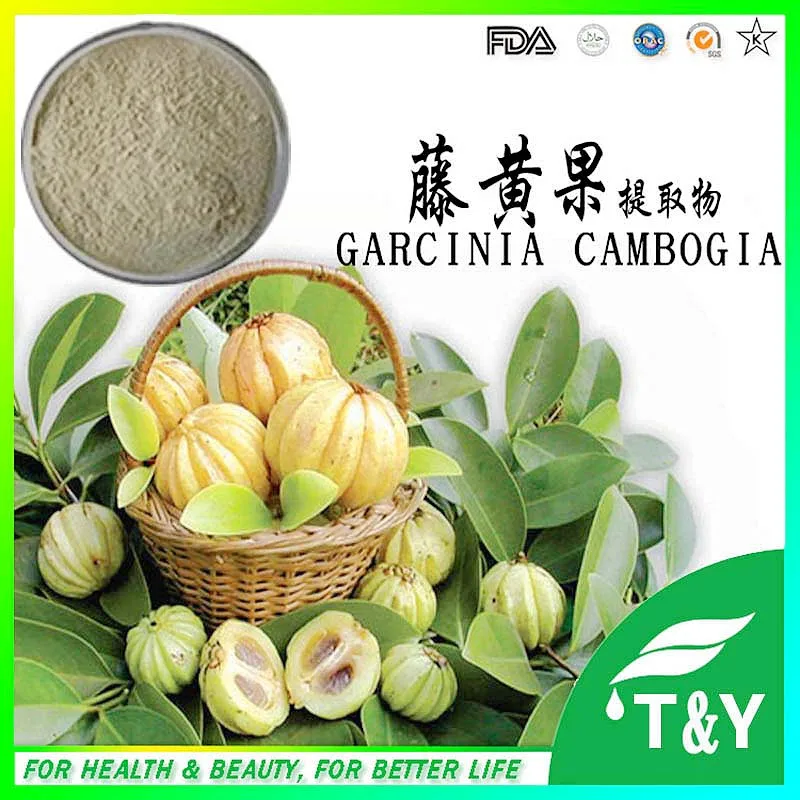 Best Price Diet Pills Garcinia Cambogia Extract 300g LOT