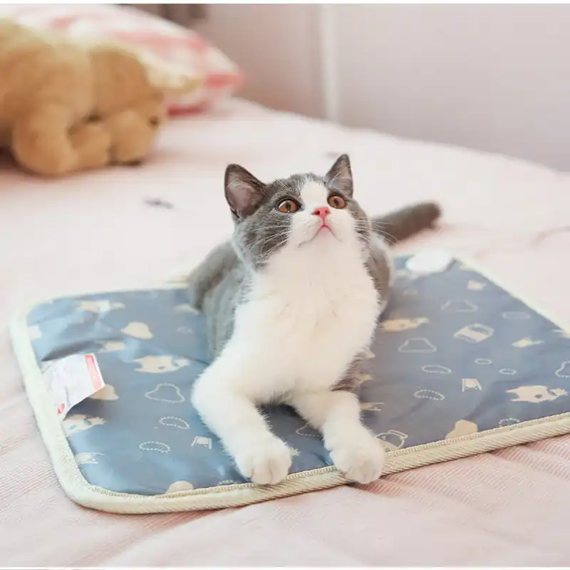 cat heat pad electric