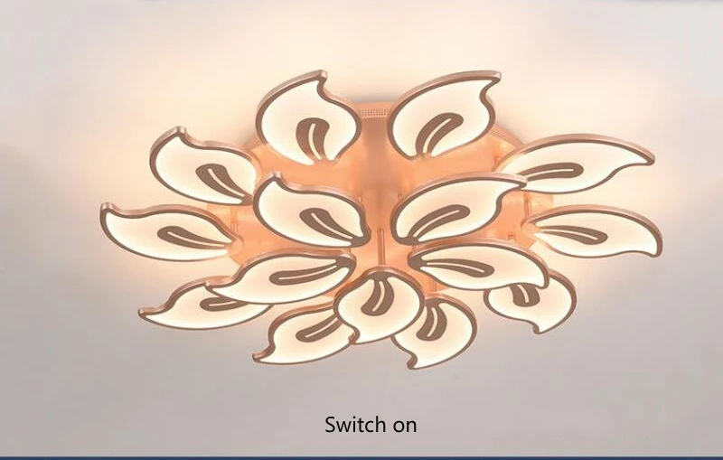 gold chandelier (34)