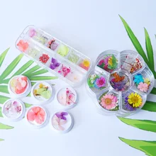 Natural Nail Dried Flowers Decoration Mix Dry Flower And Leaf Decor 3D Nail Art Designs Gypsophila Manicure Accessories