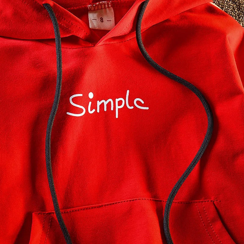 2019 Autumn Baby Boys Clothing Sets Fashion Girls Hooded Sweatshirt And Pants Suit Children Clothing Tracksuit Kids Clothes Set (5)