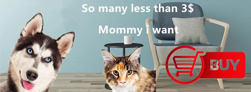 cheap cat dog products