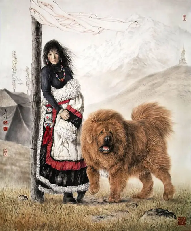 

oneroom The grassland in Tibetan Mastiff Needlework,DIY DMC people Cross stitch,For Embroidery kits,Cross-Stitching Crafts