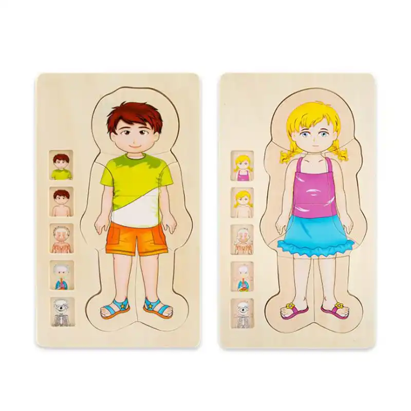 rompecabezas cuerpo humano para niños