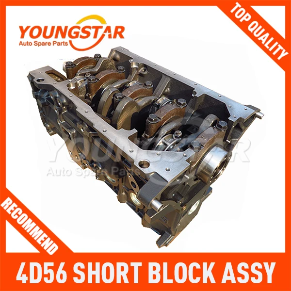 

SHORT BLOCK ASSY 4D56