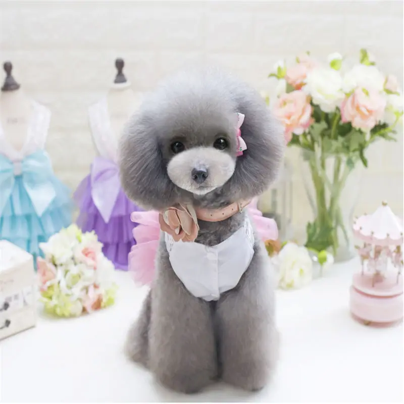 QQ20190226152517