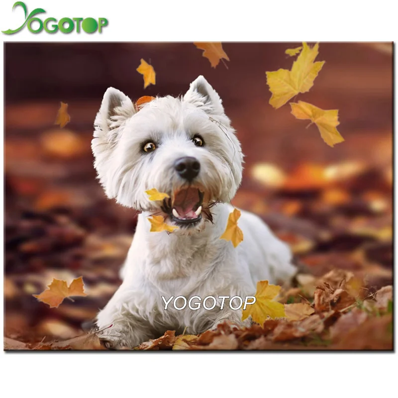 

YOGOTOP DIY 5D Diamond Painting west highland white terrier Embroidery Full Square/round Rhinestones Mosaic Art Pet Dog YY396
