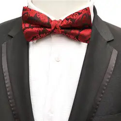 2018 Мода Пейсли кешью двухслойный бант галстук британский стиль лук