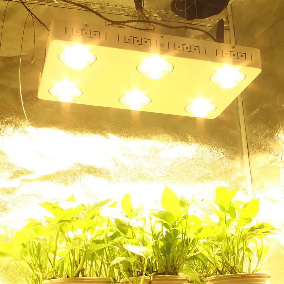 Led Plant Grow Light Full Spectrum Dimmable Cree Cob Cxb3590