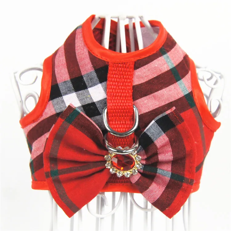 8880765448_999816027