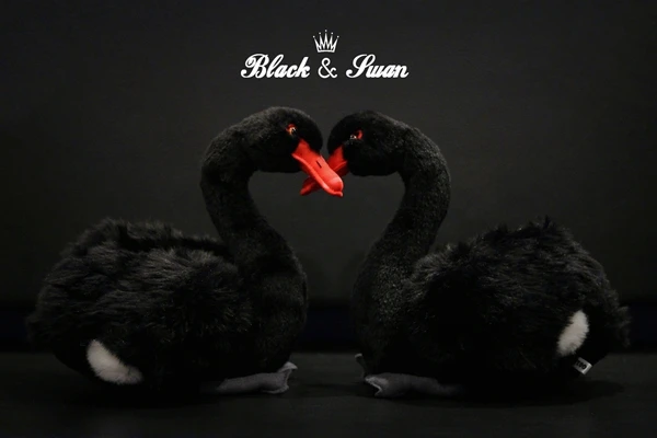 

Black Swan Doll Black Swan Plush Toys Simulation Animals Swan Plush Toys Dolls Holiday Gifts 30cm