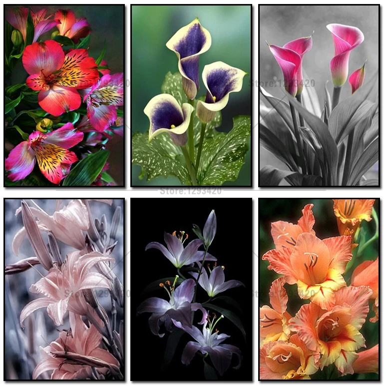 

New 5D diy Diamond Painting Colorful lily Cross Stitch Diamond Embroidery Flowers square Diamond Mosaic Rhinestone Pasted Canvas