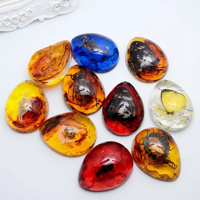 NIYANGLE 30 Pz Ciondoli Insetti In Resina Amber - Giocattoli Educativi Per Bambini