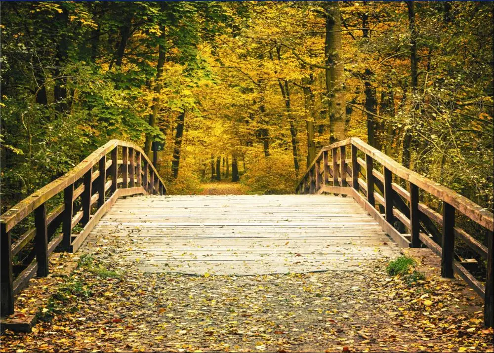 

150cm*100cm Vinyl Custom autumn Photography Backdrops Photo Studio Background QD37