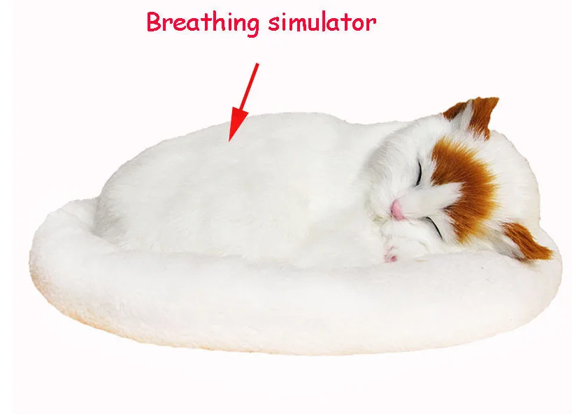simulation cats 1(10)