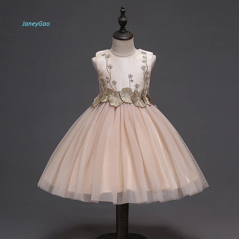 

JaneyGao 2019 Fashion Flower Girl Dresses for Wedding Party Elegant Champagne Gown Tulle Dress with Embroidery Lace Appliques