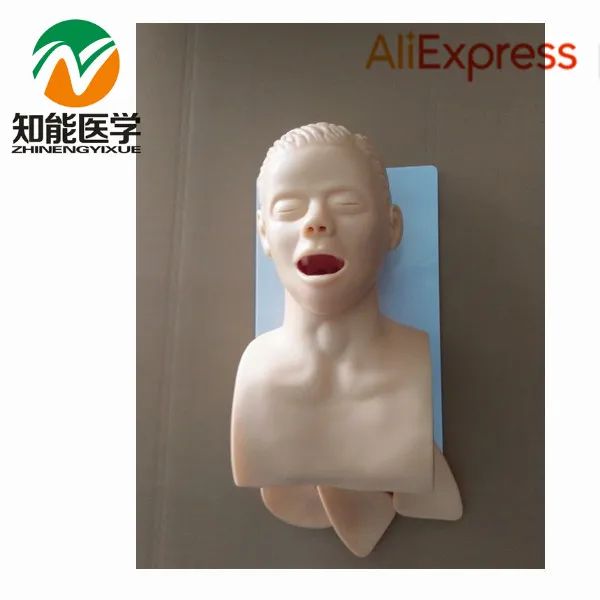 BIX-J5S Electronic Human Trachea Intubation Training Model With Teeth Compression Alarm Device W067 BIX-J5S Electronic Human Trachea Intubation Training Model With Teeth Compression Alarm Device W067