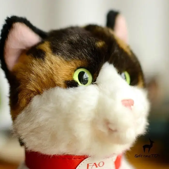 tortoiseshell cat toy