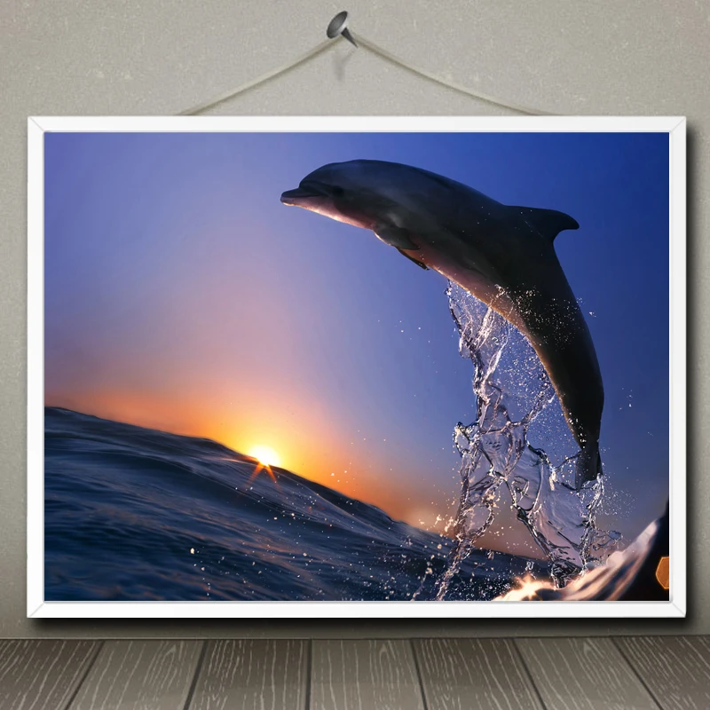 Free Printable Pictures Of Dolphins Download Free Clip Art