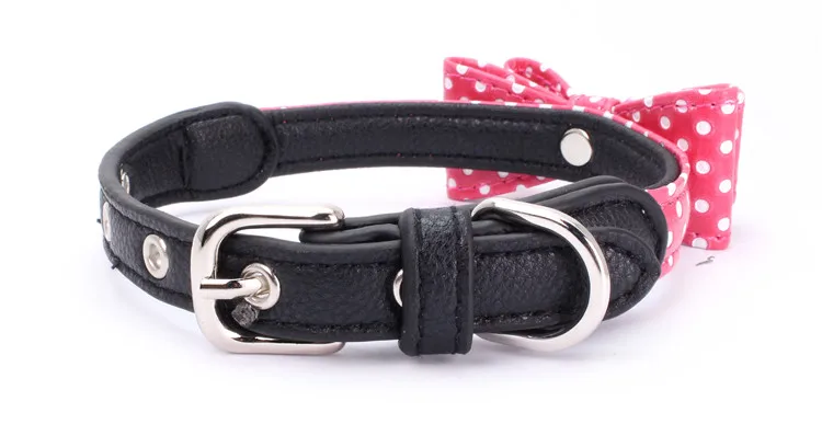 dog collar (6)