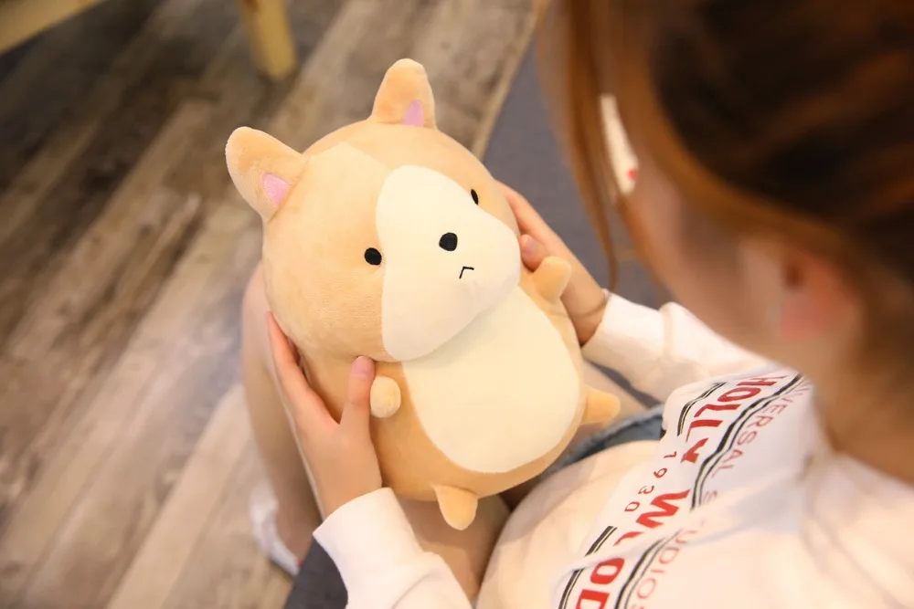 9057454851_526651954