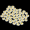 50PCS 13mm Resin Vintage Style Daisy Flower Flat Back Cameo Cabochon  For Jewelry Making Earring Accessories Wholesale ► Photo 2/6