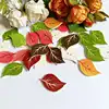 50Pcs Mixed Leaves Wood Apparel Sewing Buttons For Clothes Scrapbooking Decorative Crafts Handicraft DIY Accessories ► Photo 3/6
