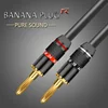 2Pcs/1Pair Non-Magneti Banana Plugs Audio Speaker plug Binding Post Terminal Banana Connectors High Quality ► Photo 2/6