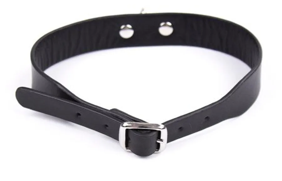 HTB1hadSNpXXXXXfXVXXq6xXFXXXc