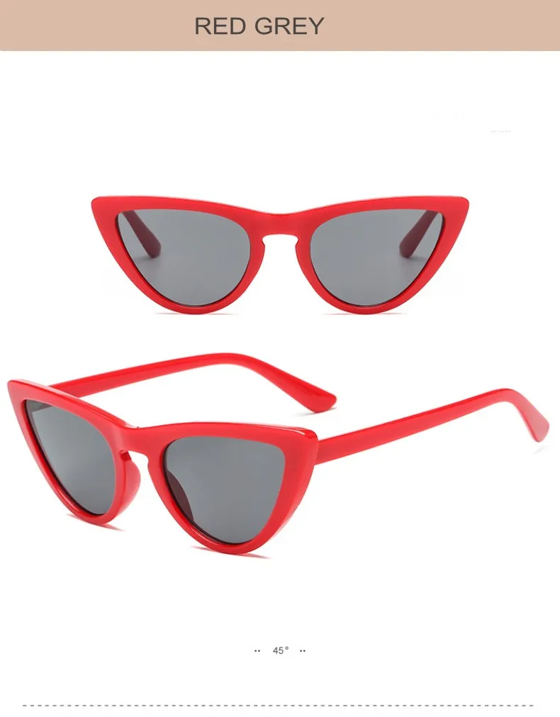 tinted sunglasses (27)