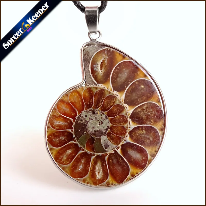 

Natural Stone Ammonite Fossils Seashell Snail Pendants Ocean Reliquiae Conch Animal Necklaces Statement Men Jewellery 1PCS LY933