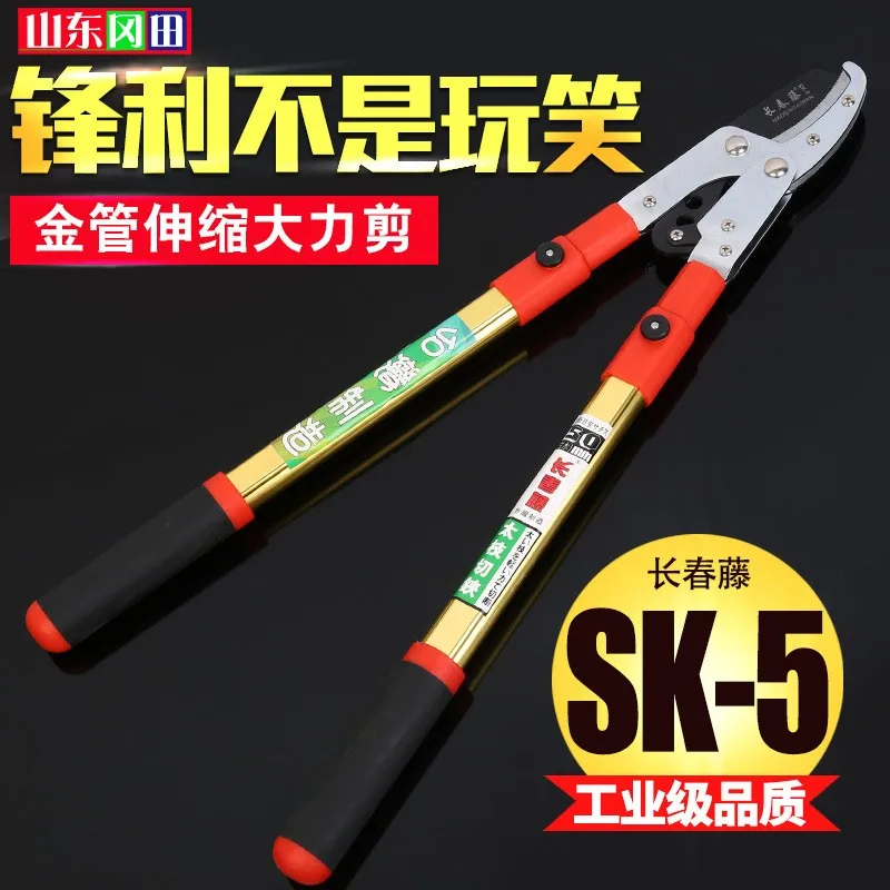 

Supply of Ivy Gold Tube Stretching and Strongly Cutting Sharp and Durable Garden Pruning and Fruit Tree Pruning