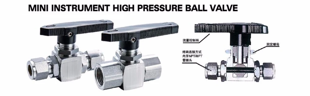 HTB132WQSVXXXXbAXpXXq6xXFXXXF