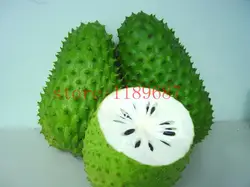 Шт. 20 шт. SOURSOP Graviola Guanabana Annona muricata тропические фрукты NO-GMO хорошо для здоровья