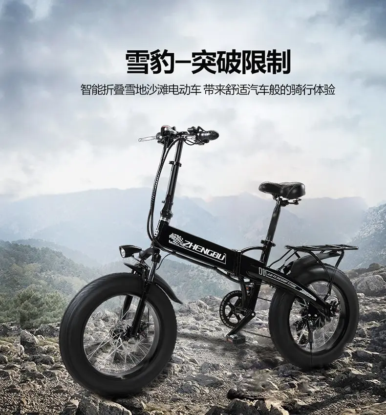 Sale 48V 10Ah Lithium battery,350W Powerful Motor,  20" 4.0 Width Tire Snow Bike, Folding Electric Bike,Fat Bike,MTB Mountain Bicycle 1