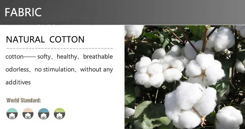 2552529775_1686284351