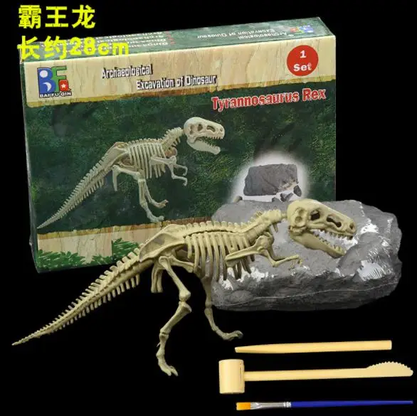 Сделай Сам, динозавр, динозавр, окаменелый, юрский возраст, скелет динозавра, сборка, моделирование, fossil - Цвет: 01