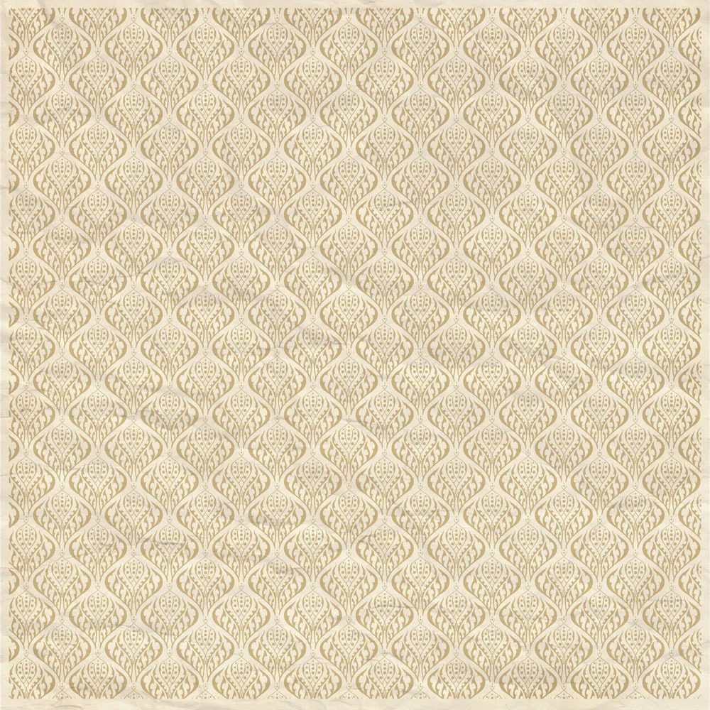 

10x10ft Vinyl Custom  Photography Backdrops Prop Vintage Photography Background JVT-312
