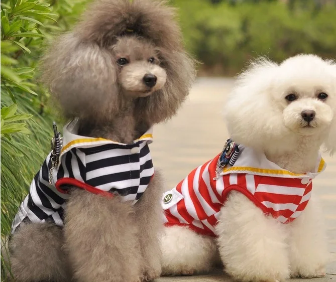 Buy A52 Gentleman Pet Dog Junpsuit clothes Dog boy