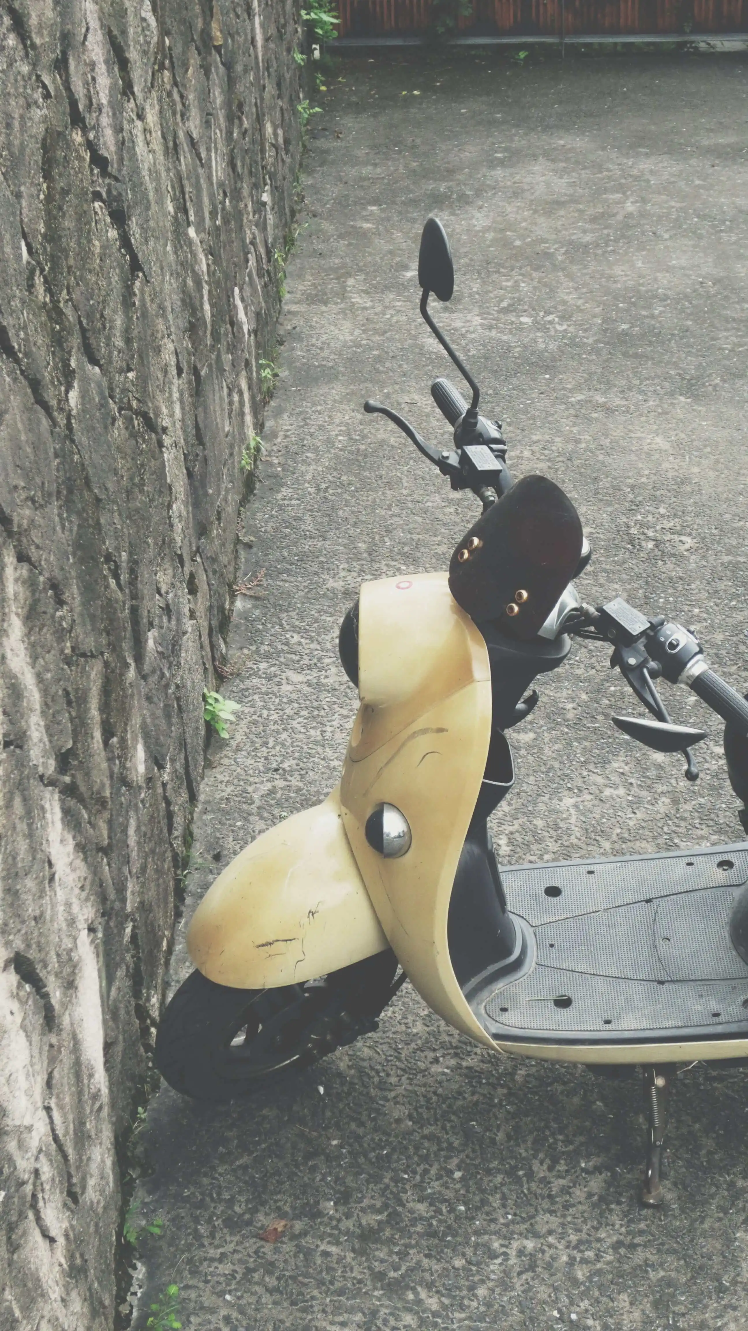 可能是幸存的「变形金刚」