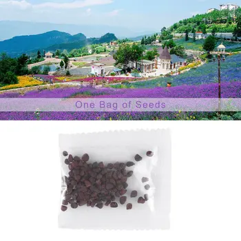 

Creeper Seeds Decoration Tree Seeds DIY Office Desk Bonsai Balcony Plants for Home Garden Exotic Plants Species