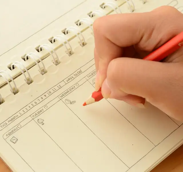 professional daily planner