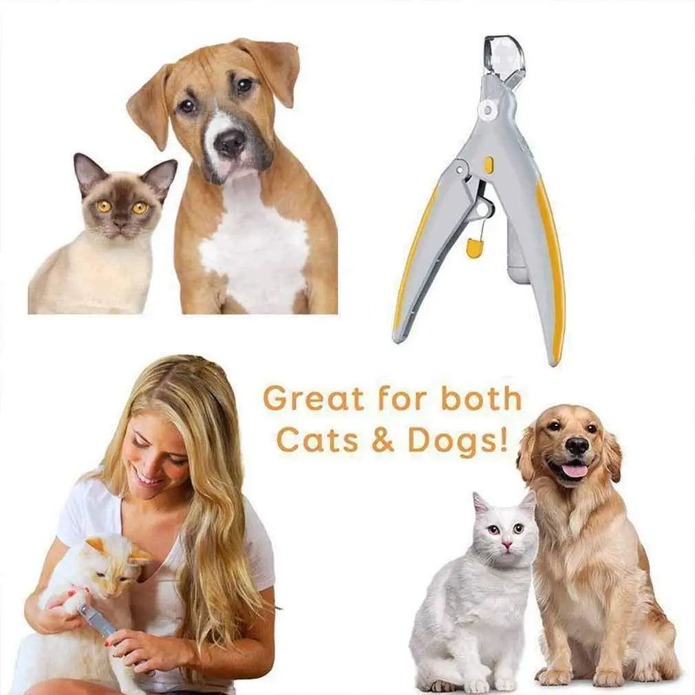 

New pet scissors peti care nail grooming tool dog clippers beauty