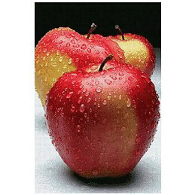 

Factory Direct Sale Rhinestones Diy Diamond Painting Cross Stitch Square Drill Resin Diamond Embroidery Needlework Apple Fruits